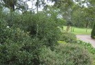 Soldiers Hill QLDresidential-landscaping-35.jpg; ?>