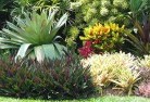 Soldiers Hill QLDresidential-landscaping-58.jpg; ?>