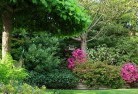 Soldiers Hill QLDresidential-landscaping-74.jpg; ?>